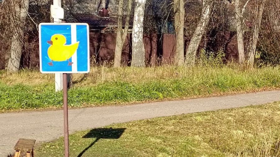 В Ярославском округе появился знак «Уточки на дороге»
