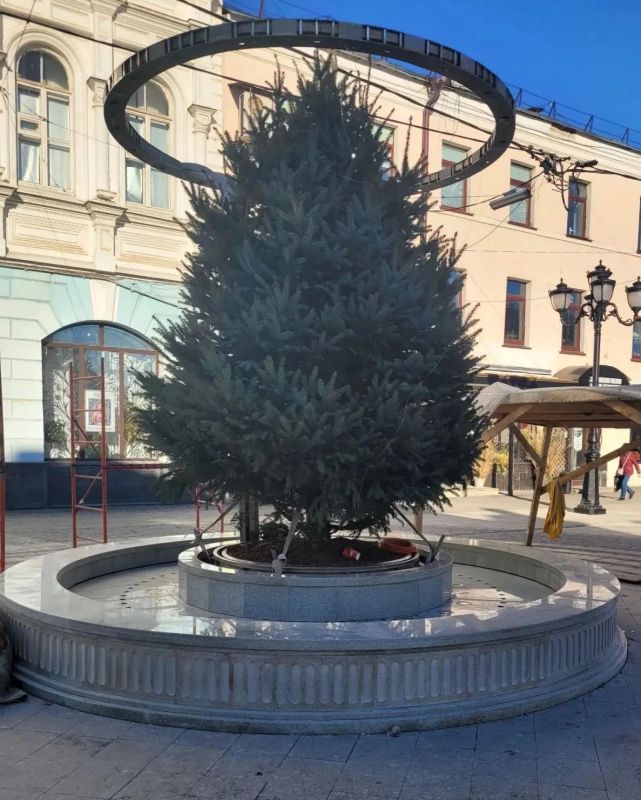 Летом — листья, зимой — иголки и новогодние огни: в центре Ярославля устанавливают фонтан-трансформер
