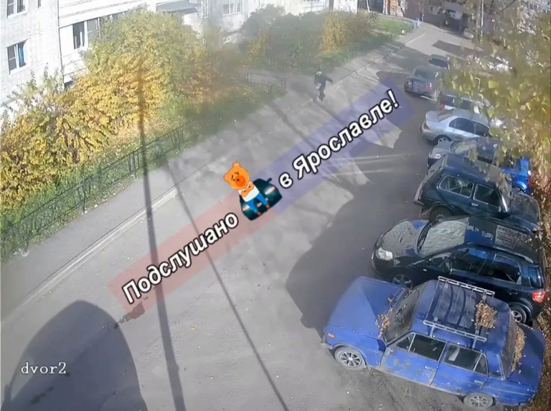 В Ярославле неизвестный выхватил сумки у пожилой женщины и сбежал В Ярославле неизвестный выхватил сумки у пожилой женщины и сбежал