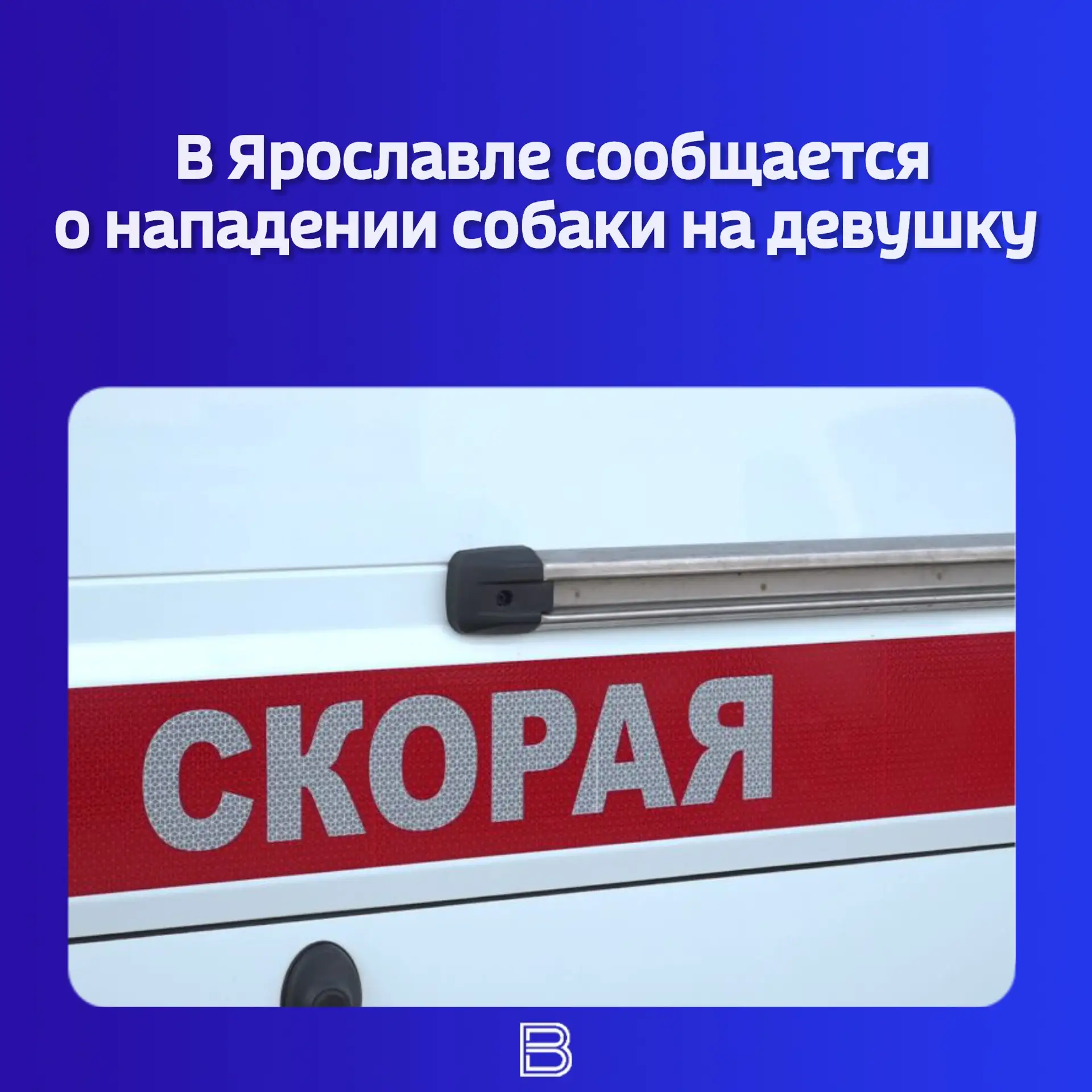 В Ярославле сообщается о нападении собаки на девушку