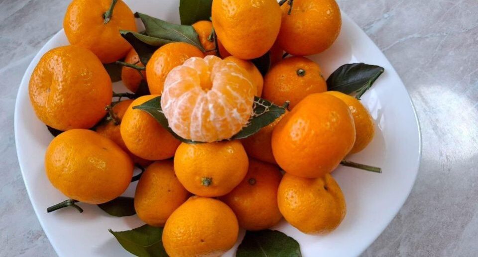 ������� ������ � �������� ���������� � ������� ������ ����