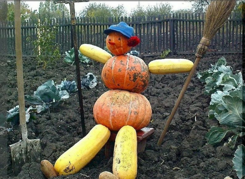 Как не запустить в саду пятизвёздочный отель для вредителей