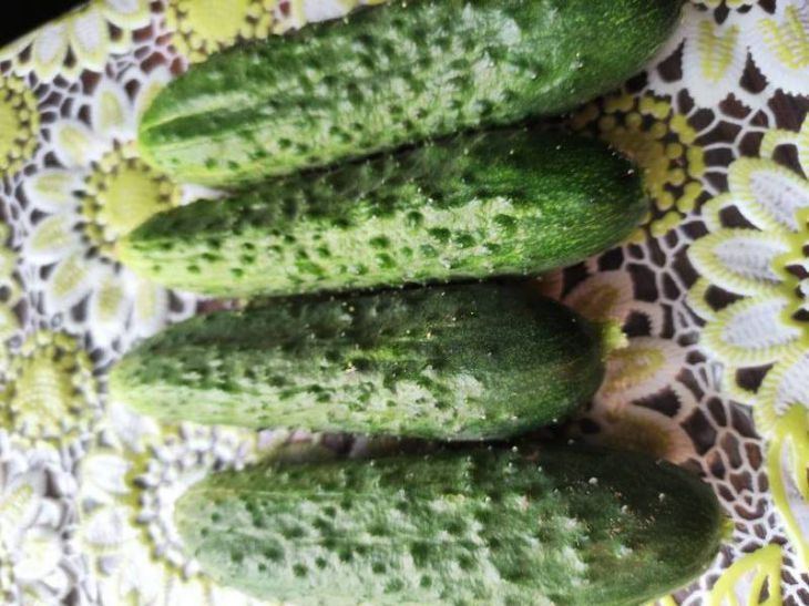 Как правильно употреблять огурцы