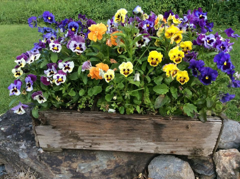 ����������: ��� ��������� �����, ������� �������� ����� ��������