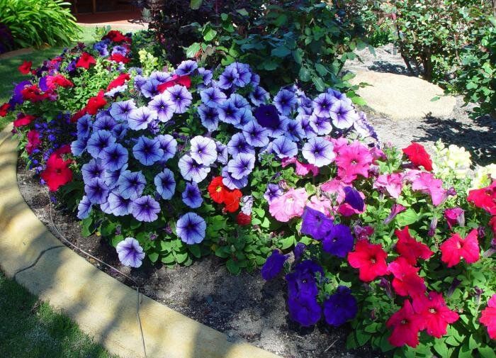 ��� ������� ��������� �������: ������� ��� ���������� ���������