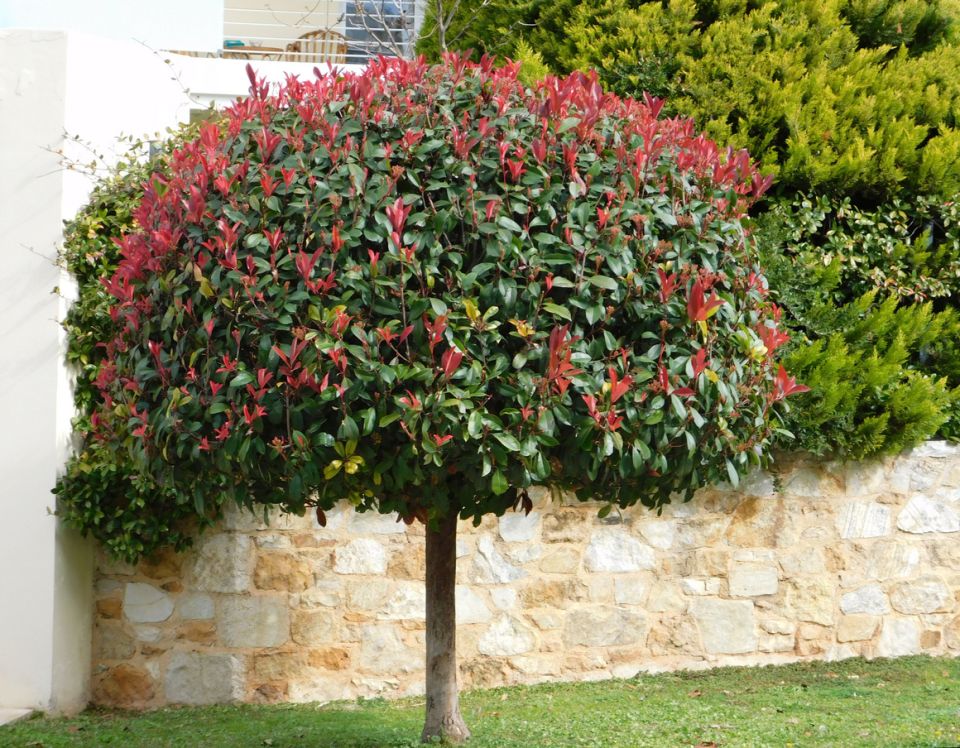 ��� ��������� ������������ ������ �����: ������� ����� �� ������������� ����������