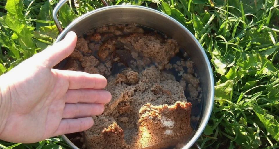 Необычные секреты для получения щедрого урожая томатов с помощью хлебной закваски