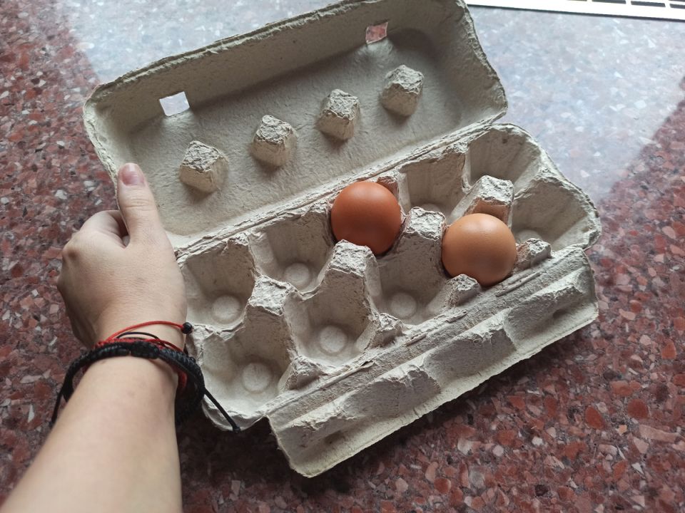 ��� ������������ ����� �� ��� ��� �������� � ��������: �������� �������