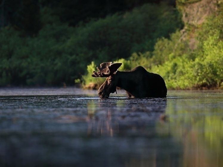 ����� ����� � ������ �� ����������� ��������� ��������� ����: ��� ����� ��������� � 2026 ����?