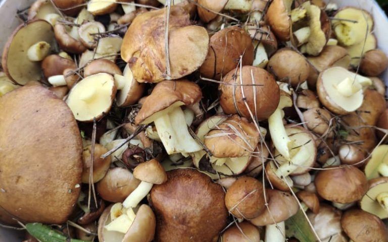 �������� ������: ��� ���������� ������ ���� ����� ����� ������