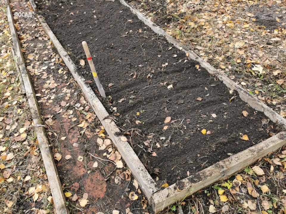 ��� ������� ��������� ���������� ��� ������: ���������, ������ ��� ���?