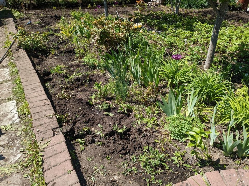 ��� �������� ������� ���� ������� ����� ��������� �������