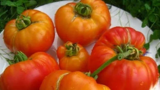 ����������� � ����������: ������ � ������ ����� ��� ��������