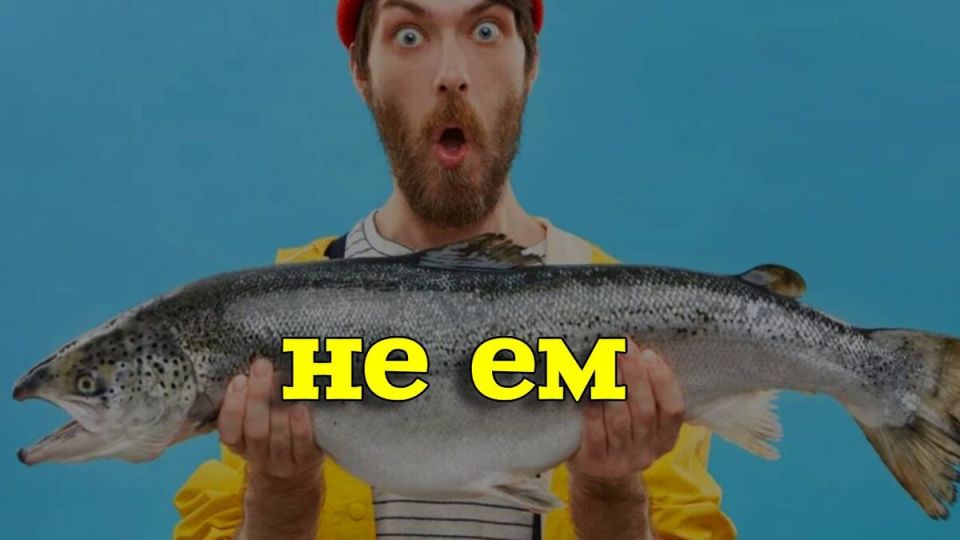 Почему я предпочитаю соленую рыбу: личный опыт