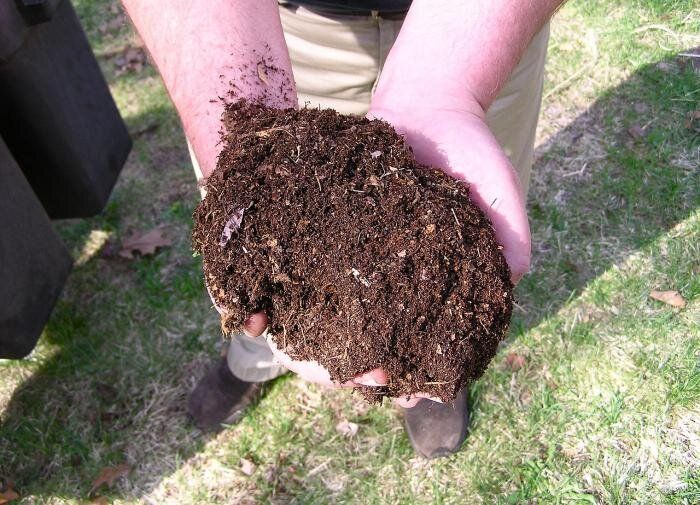 ����: ������� ������������ ��� ������ ����