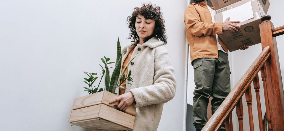 ��� �������� ���� ����� �� ���� � ��������: ��� ������ ������������