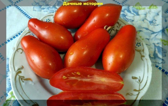 ����� ������ ������: ������ ������ � �������� � �����