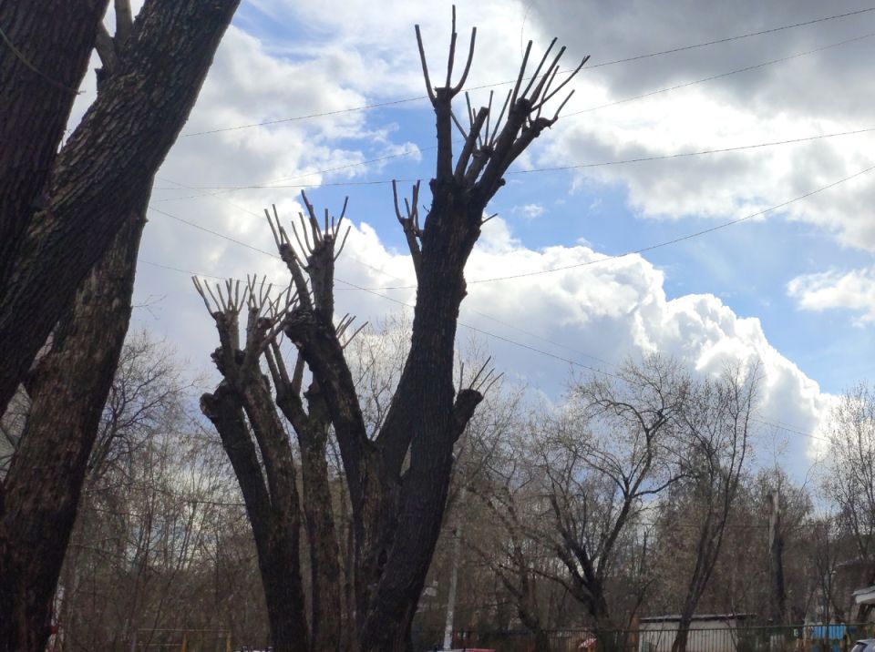 ����� ��� ��� ����� ����: ���� ������, ������� �� �� ������