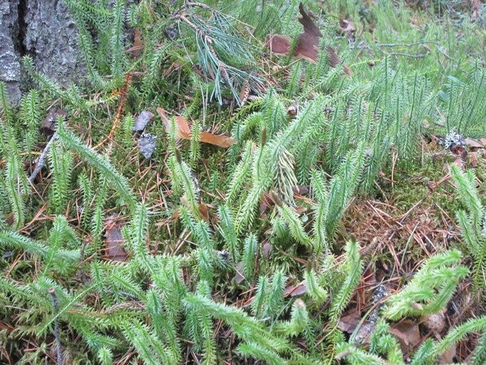 ����� � ����: ����� ������� � ������� ��������� � ��� ����� �����