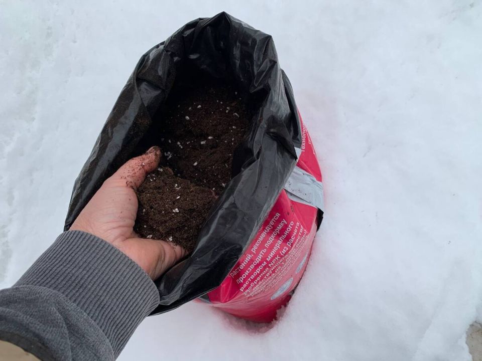 ��� ���������� �� ����� �Bought ������ ��� �����: �������, ���������� �����