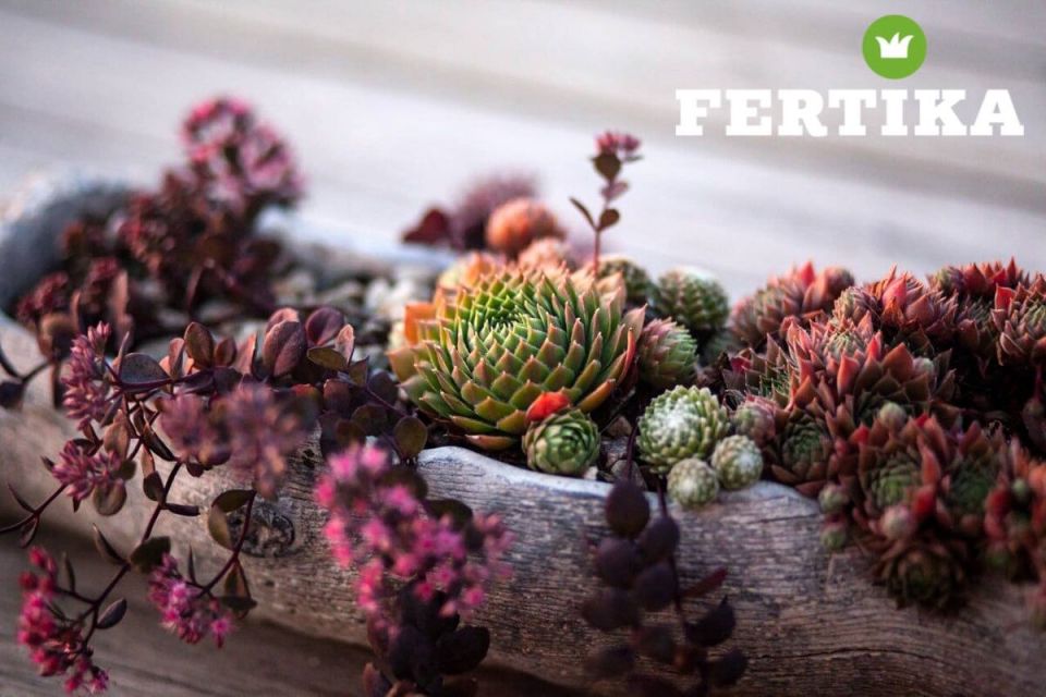 ������� � ���������� � �������� ����: ��������� ����������� �� �����