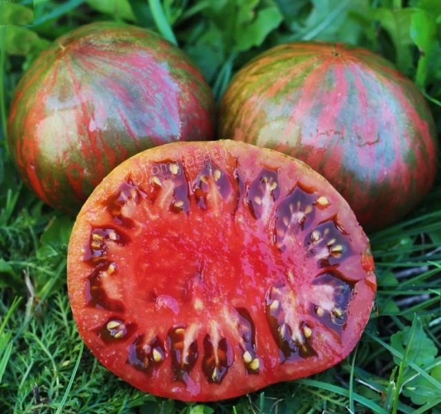 Томат Козула 128 как редкость в обычном огороде: стабильный урожай и декоративность