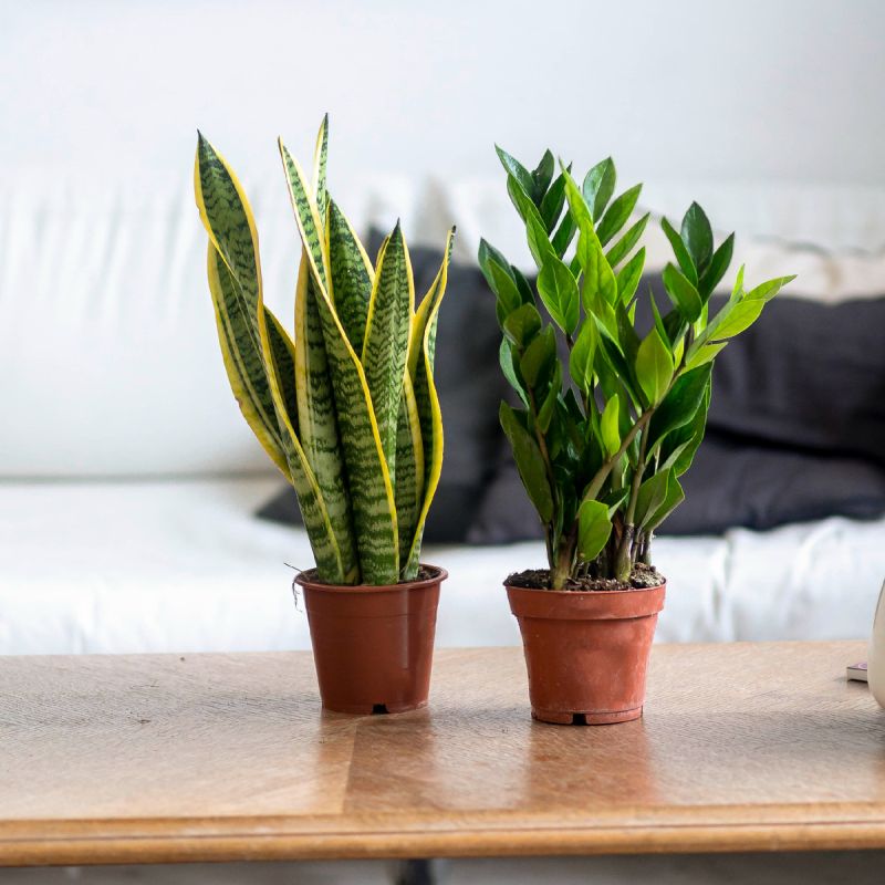 �������� ����� �������������� � ������������: ��� ����� ������� ��� ���?