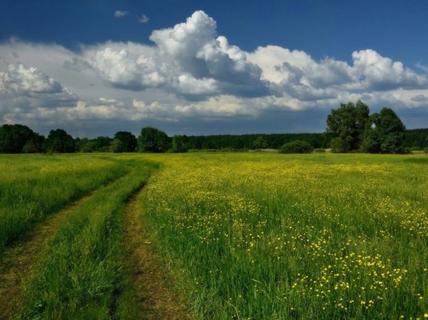 ������� ���� ��� ������: ��� ����� �������� ������� �����