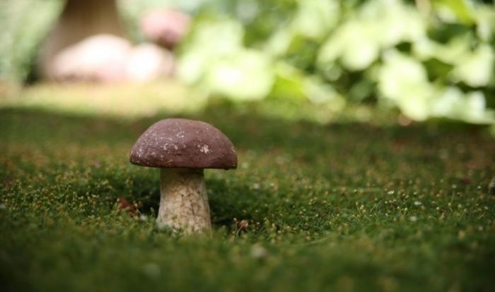 ����� ��� ������� ������������ ����������