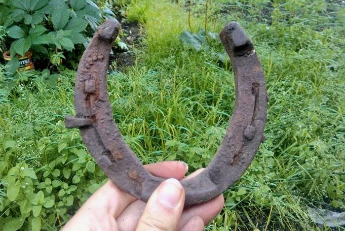 Забытая мудрость Мичурина: чем полезны гвозди и подковы для плодовых деревьев?