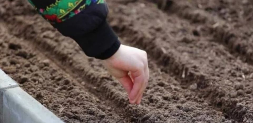 ��� ��������� ������ ����� ��� ����: ������ ��� ���������