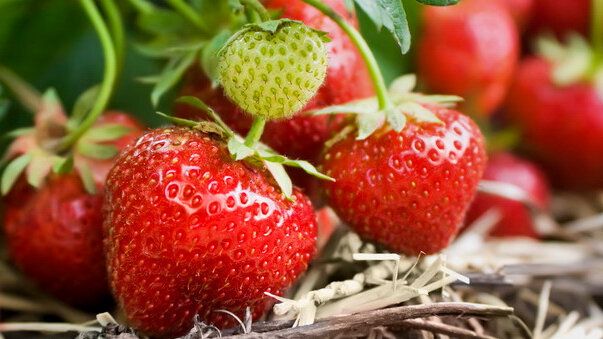 ��������� ��������: ������� ���� ��� ��������� ������