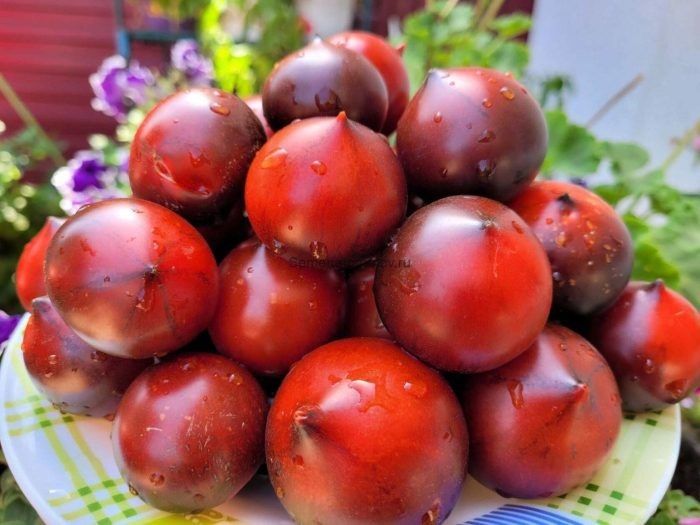 ����� ������ �������: �������� ������ �������