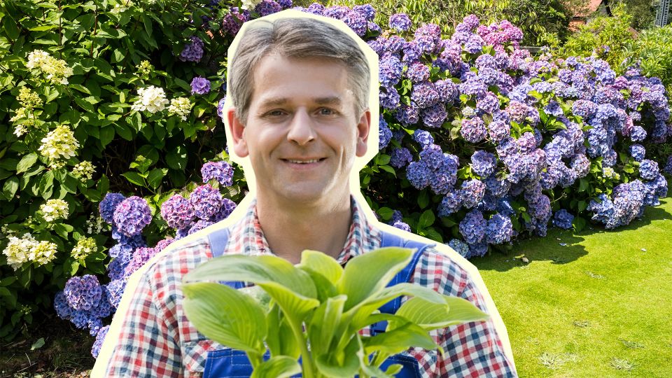 ����� �������� �������� � ��������� �� ��� �� ������: ������ � ���� ���������