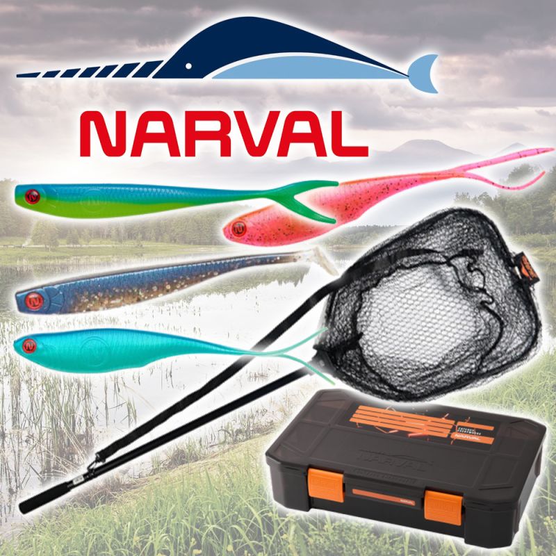 �������� � ����������� �������� �� Narval: ���, ��� ����� ��������