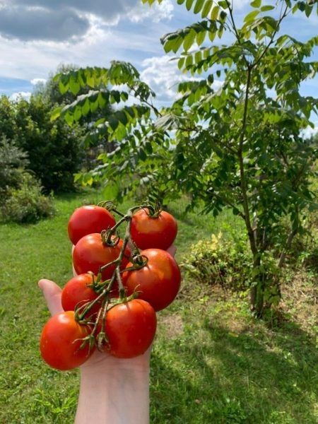 ����� �������� ������: ��� �������� �������� �� ������ �������� ������