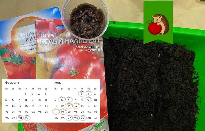 ��������� ��� ��� ������� ��������� �� ������� � �����: �������� ������