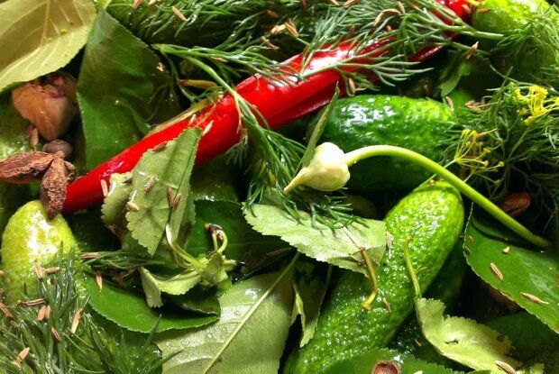 ������ � �����: ������������ ������� ��� ������� �����