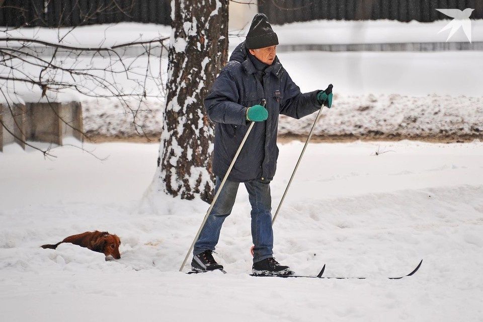 ��� ���������� ������� � ������� ��������� � �������� � 1 �������