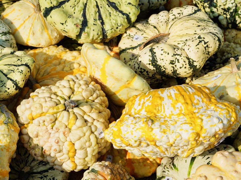 ���������� ����� ��� ������ �������: ��� ������� ������