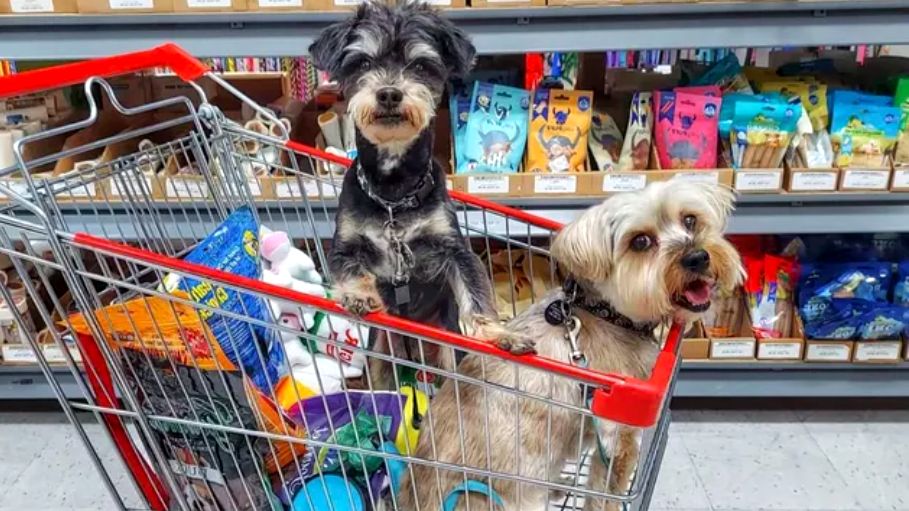 Почему магазинные тележки стали главной угрозой для здоровья