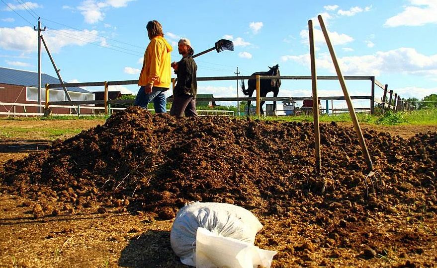 Законодательство об удобрениях: путь к здоровым почвам
