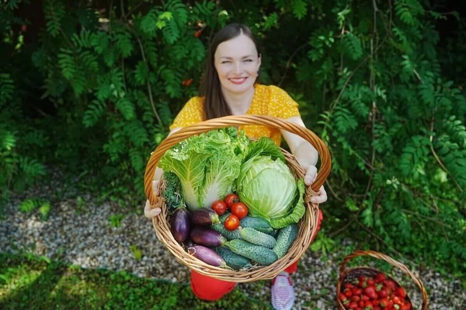 Как правильно выбрать землю для рассады: советы для здоровых растений