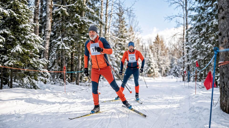 ������ ���� ������: ��� ��������� �������� � ���������� ���������